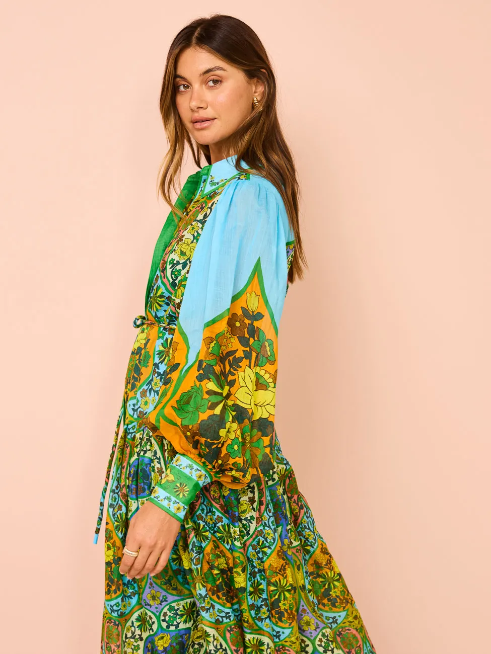 Alemais Sofie Shirtdress in Multi