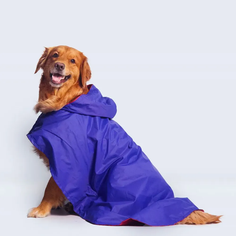 Cape Style Dog Raincoat (Blue)