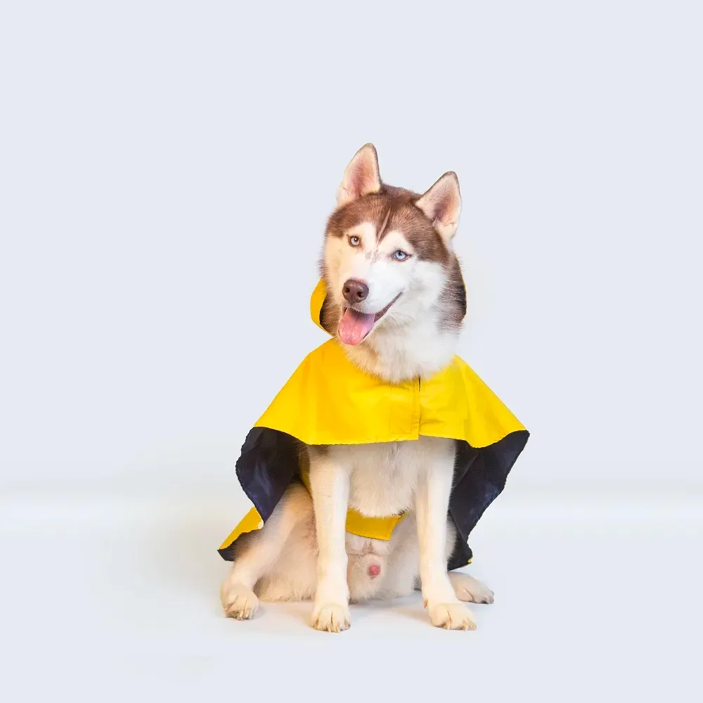 Cape Style Dog Raincoat (Yellow)