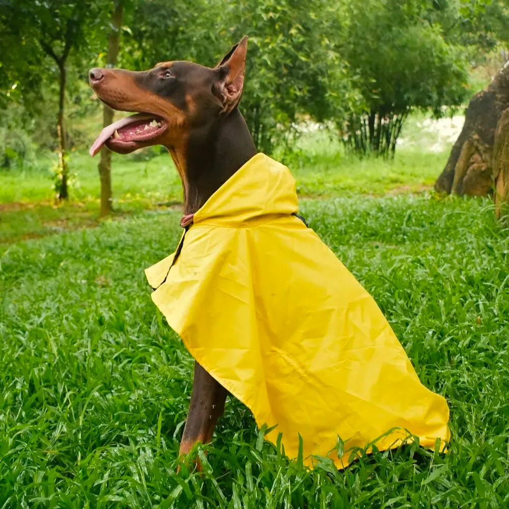 Cape Style Dog Raincoat (Yellow)