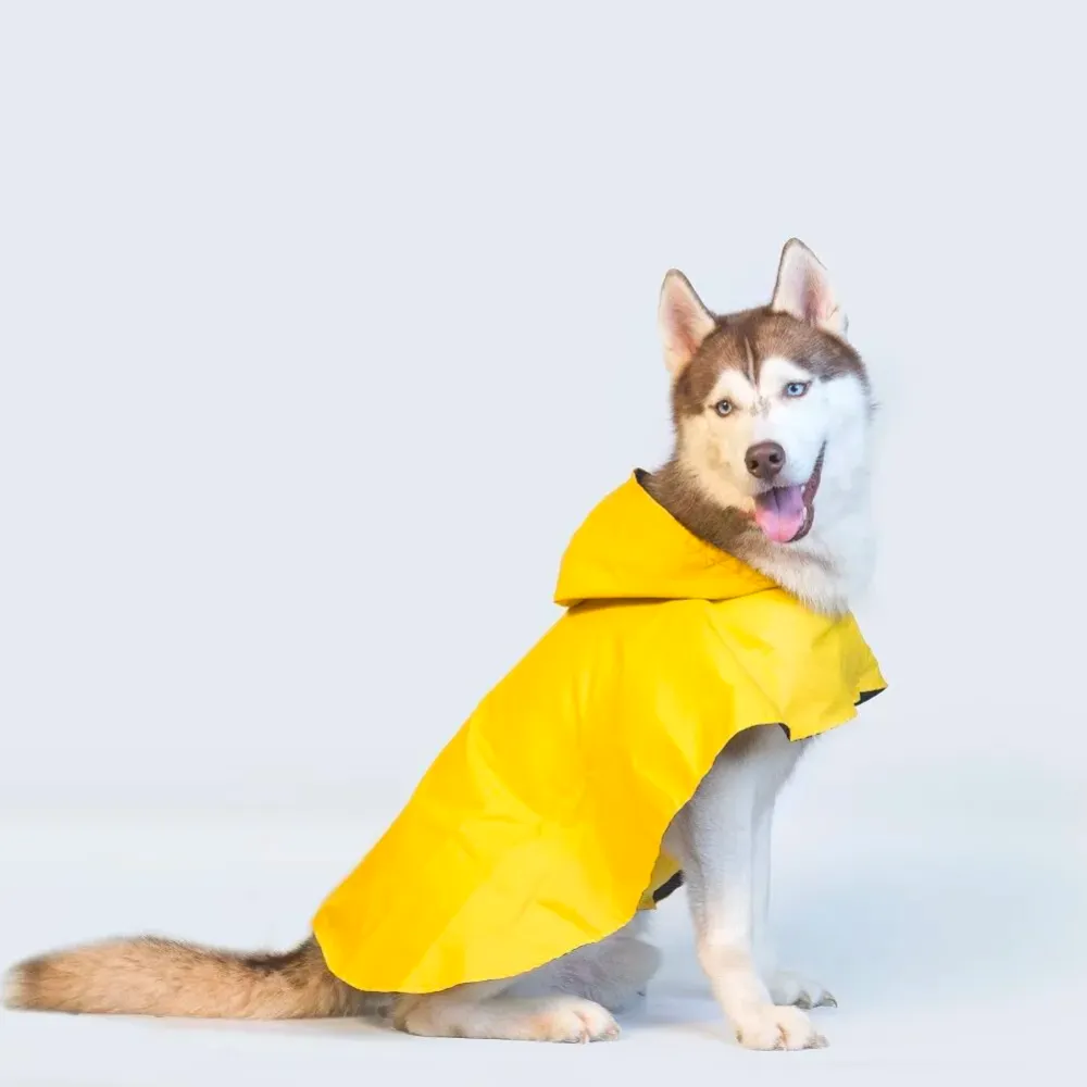 Cape Style Dog Raincoat (Yellow)