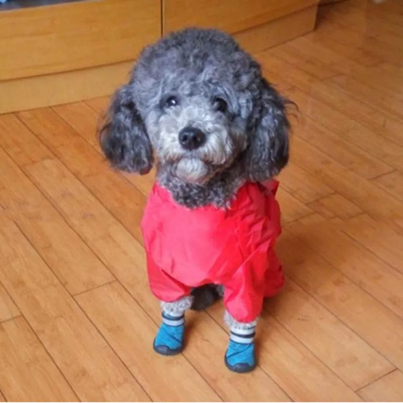 Dog Raincoat jacket