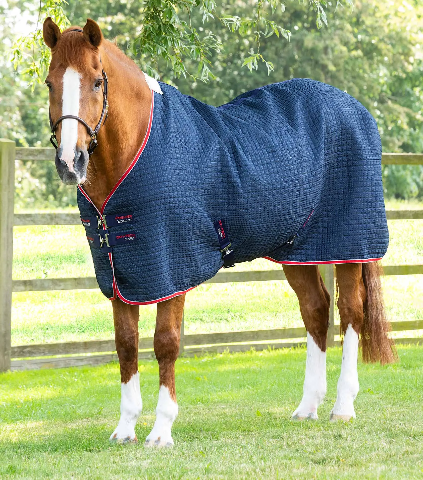 Dry-Tech Horse Cooler Rug Navy