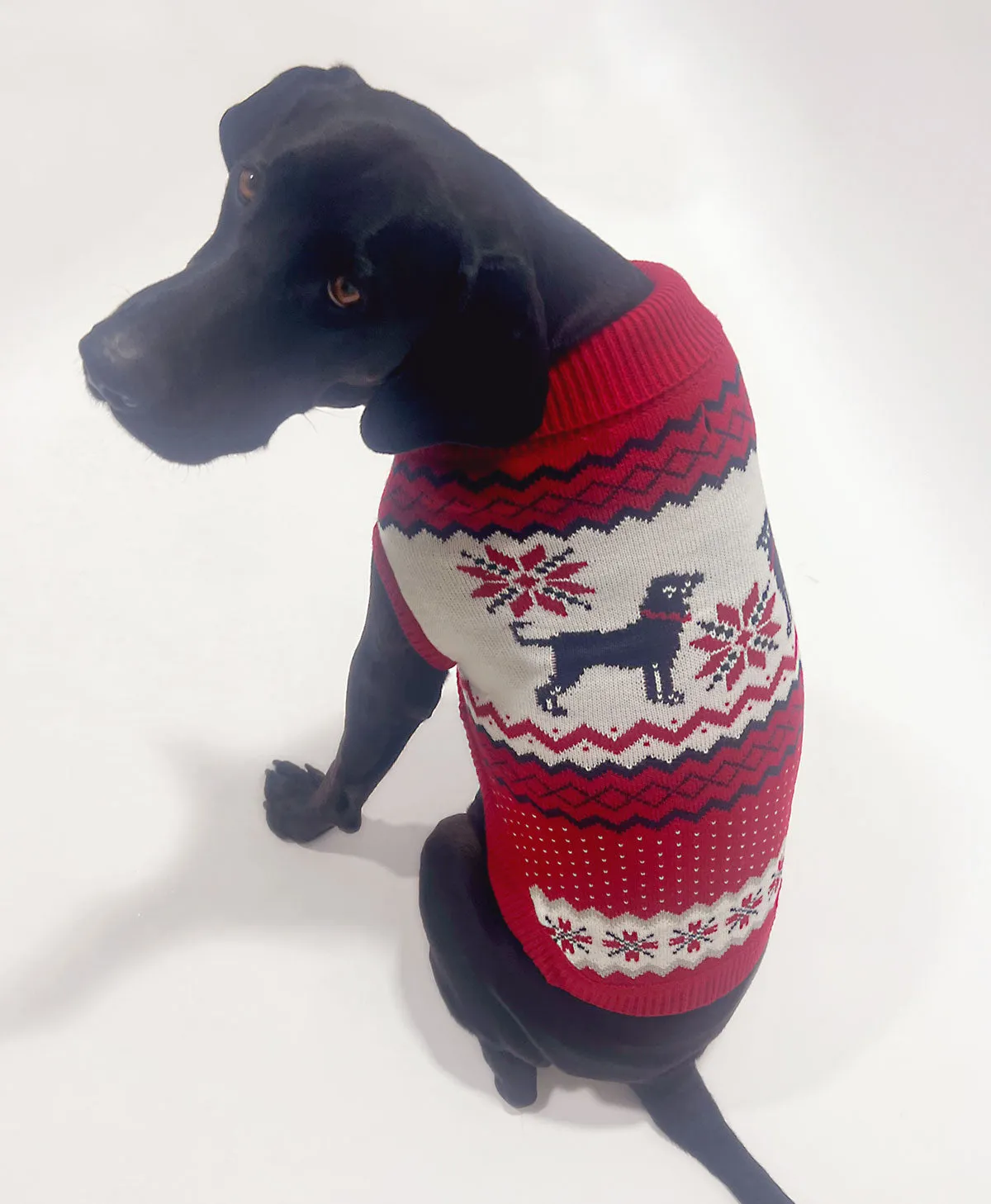 Fair Isle Dog Sweater