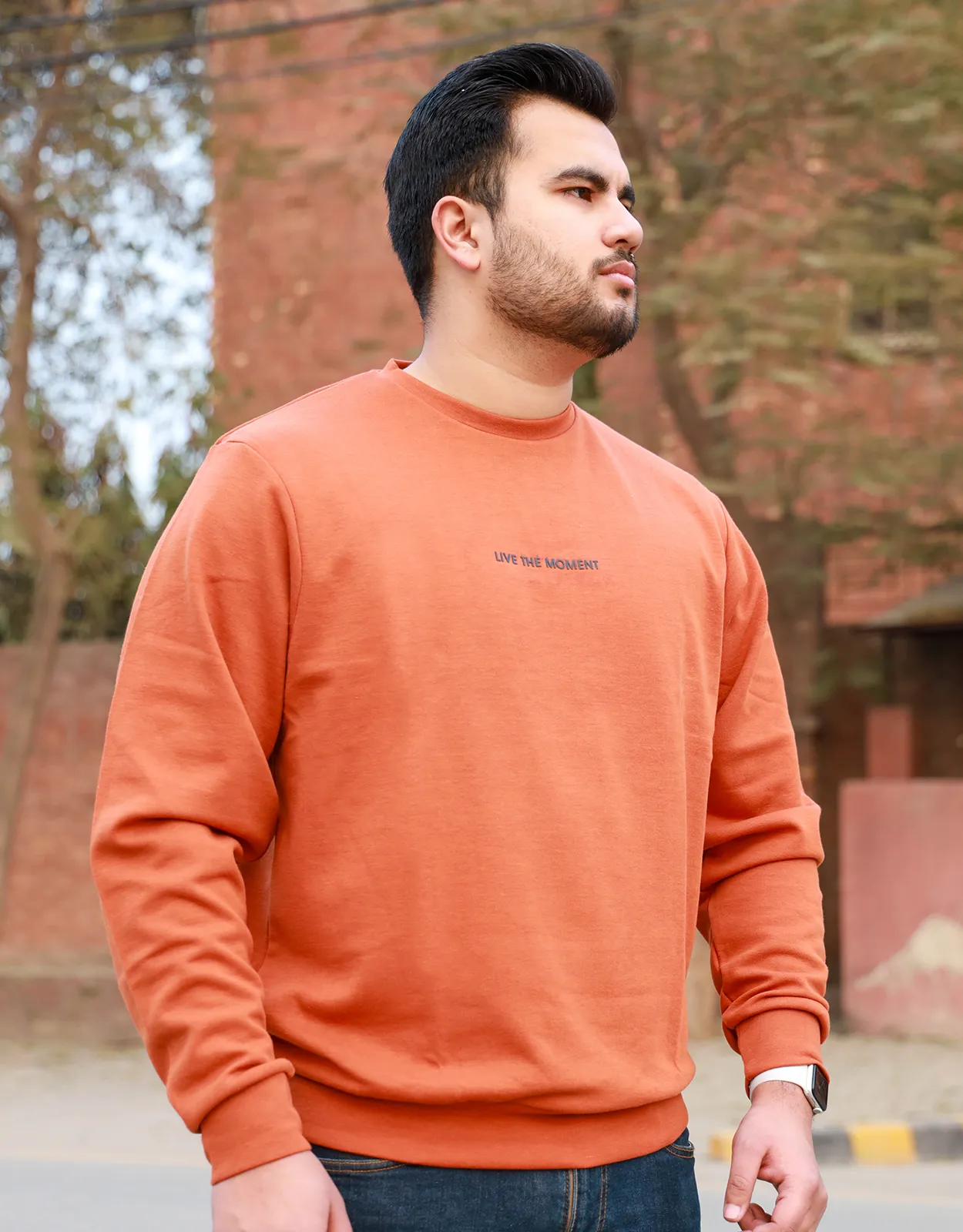 Men's Fashion Brown Sweatshirt