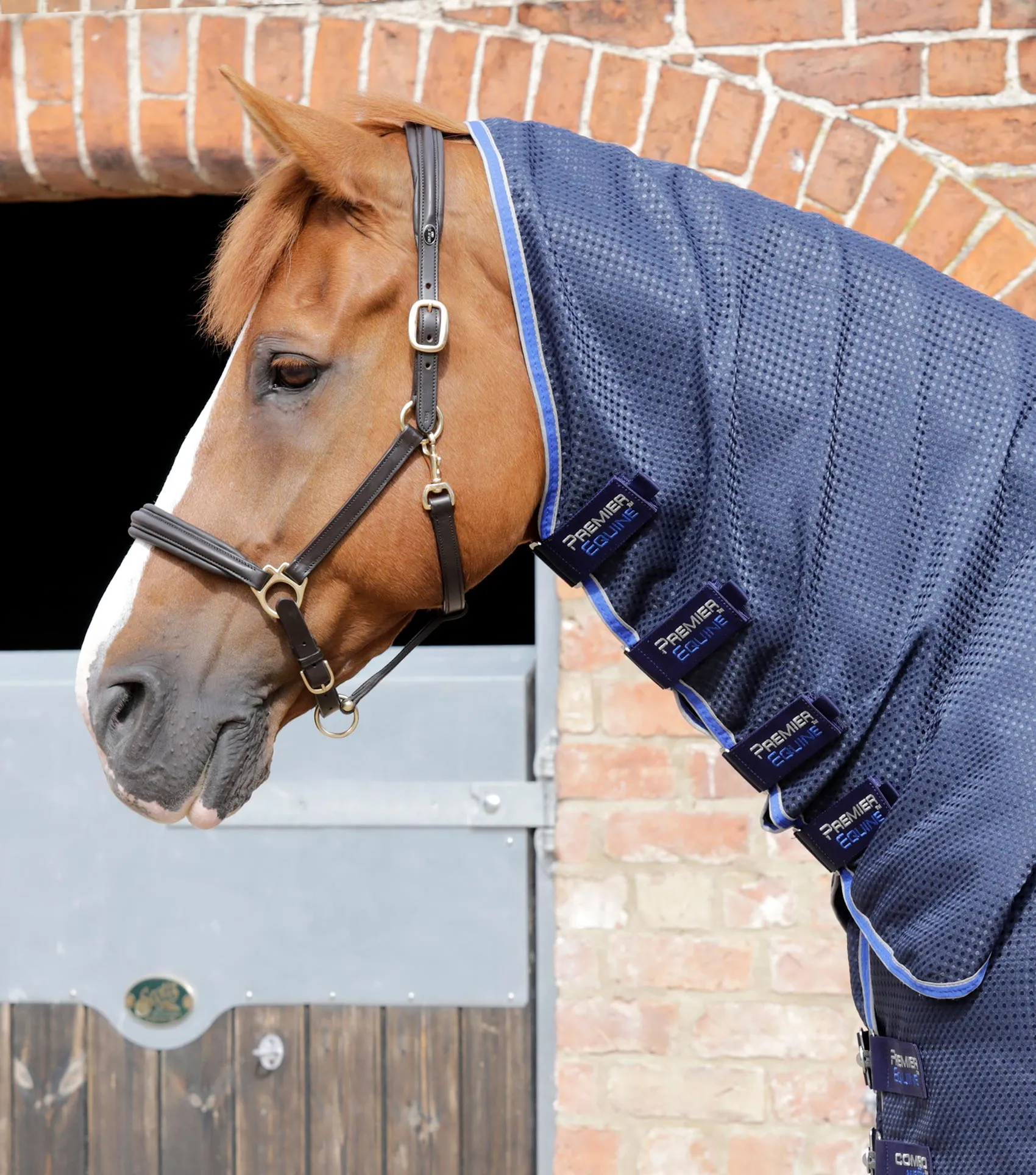 Premier Equine Combo Buster Waffle Horse Travel / Cooler / Stable Rug