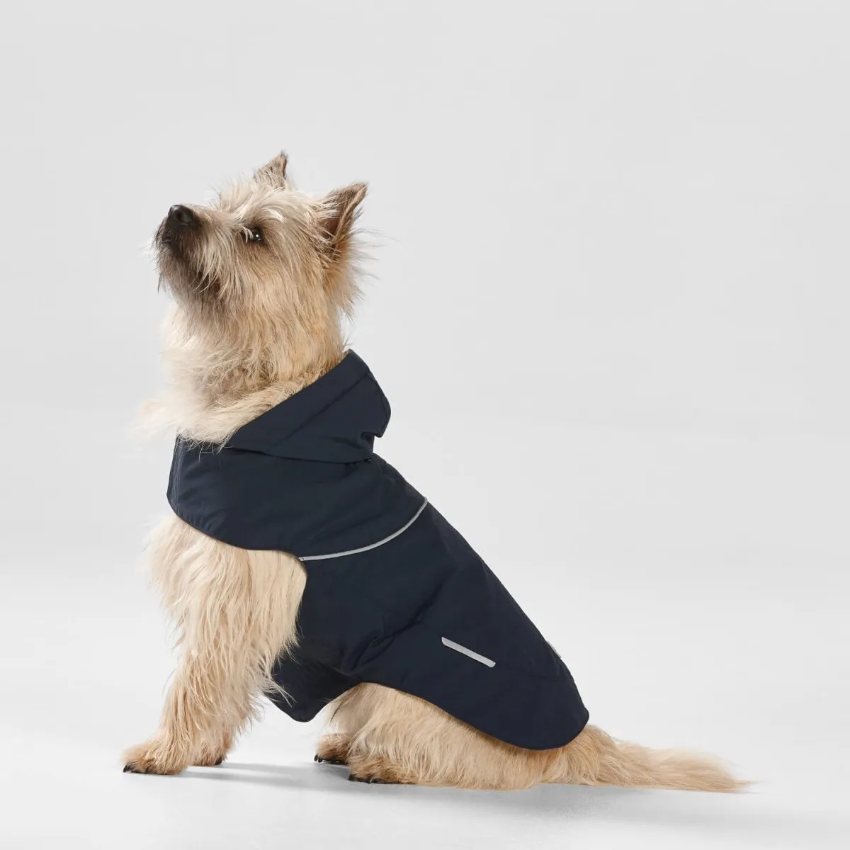 Ripstop Dog Raincoat with Hood