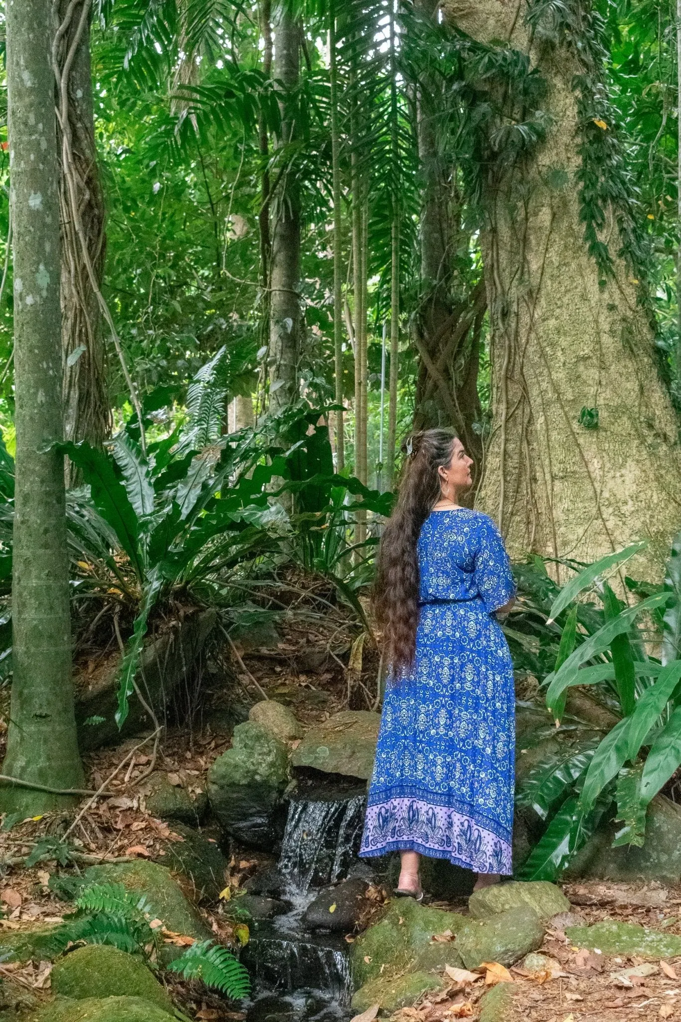 Serenity Maxi Dress - Vine Umber Black