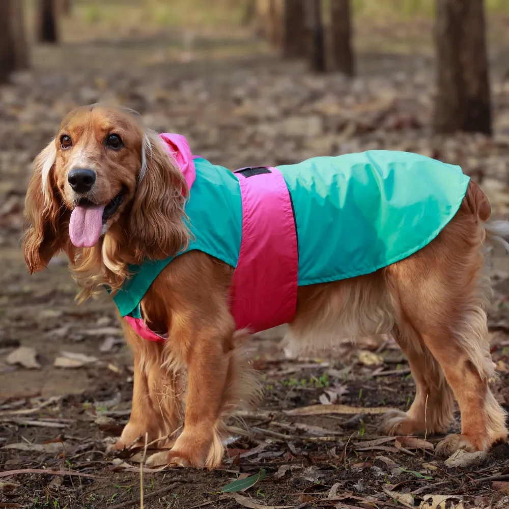 Splash Saver Pack of 2 Raincoats Puddle Pooch