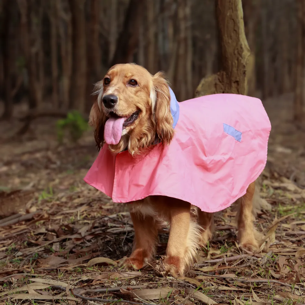 Splash Saver Pack of 2 Raincoats Puddle Pooch