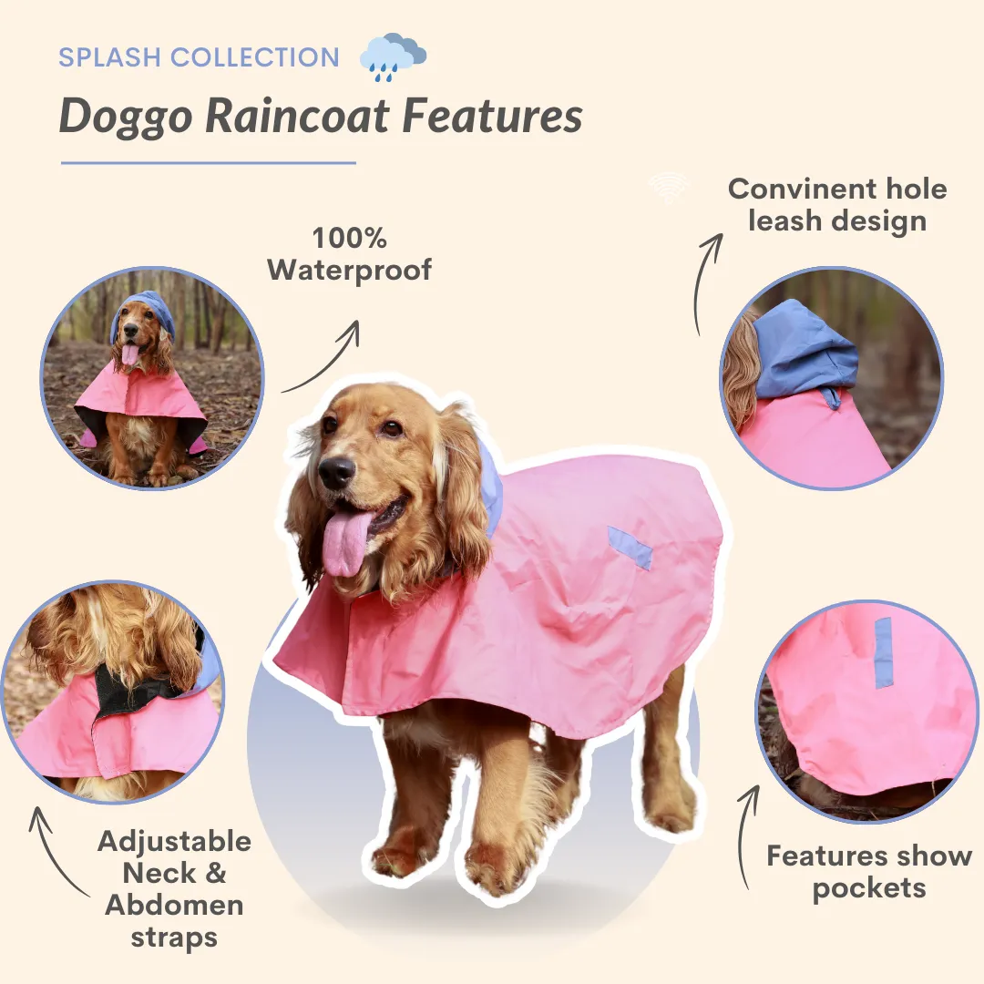 Splash Saver Pack of 2 Raincoats Puddle Pooch